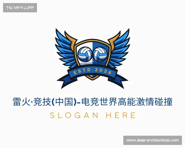关于雷火·竞技(中国)-电竞世界高能激情碰撞